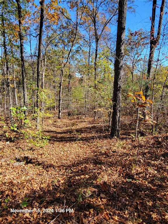 400 Kitchens Mountain Road Northwest Cartersville, GA 30120 - Photo 20 of 32 a view of outdoor space