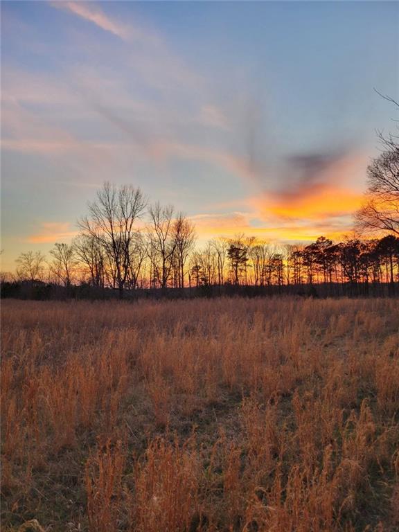 400 Kitchens Mountain Road Northwest Cartersville, GA 30120 - Photo 24 of 32 a view of lake