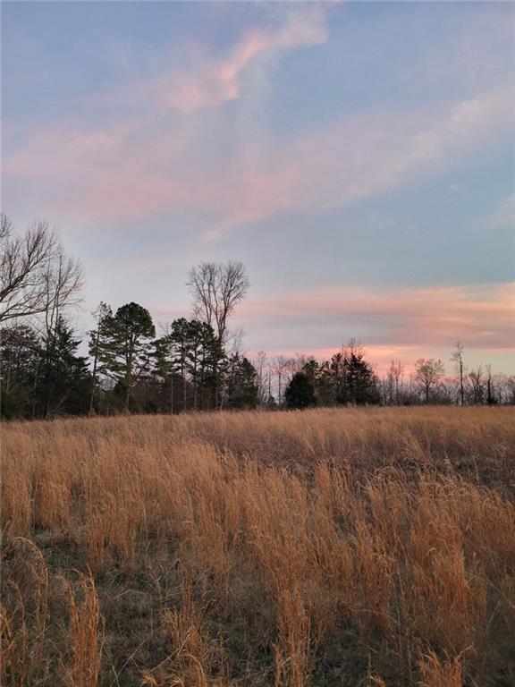 400 Kitchens Mountain Road Northwest Cartersville, GA 30120 - Photo 28 of 32 a view of lake view and mountain view