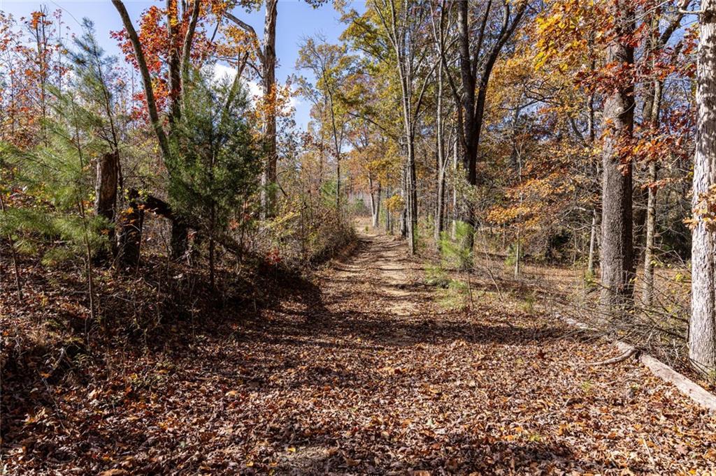 400 Kitchens Mountain Road Northwest Cartersville, GA 30120 - Photo 30 of 32 a view of yard