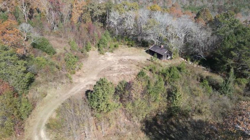 400 Kitchens Mountain Road Northwest Cartersville, GA 30120 - Photo 3 of 32 a view of a forest with trees in the background