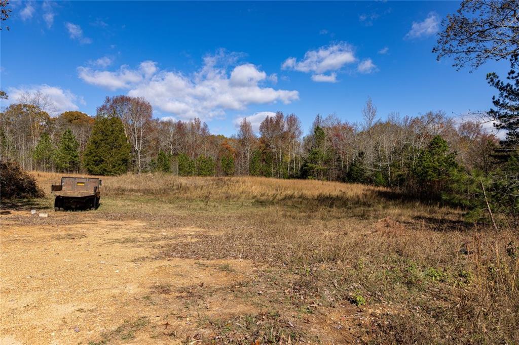 400 Kitchens Mountain Road Northwest Cartersville, GA 30120 - Photo 31 of 32 a view of outdoor space with city view