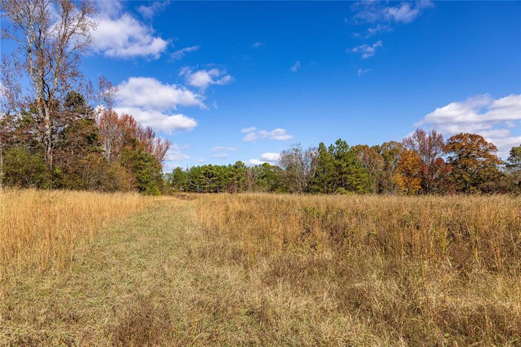 400 Kitchens Mountain Road Northwest Cartersville, GA 30120 - Photo 32 of 32 a view of lake