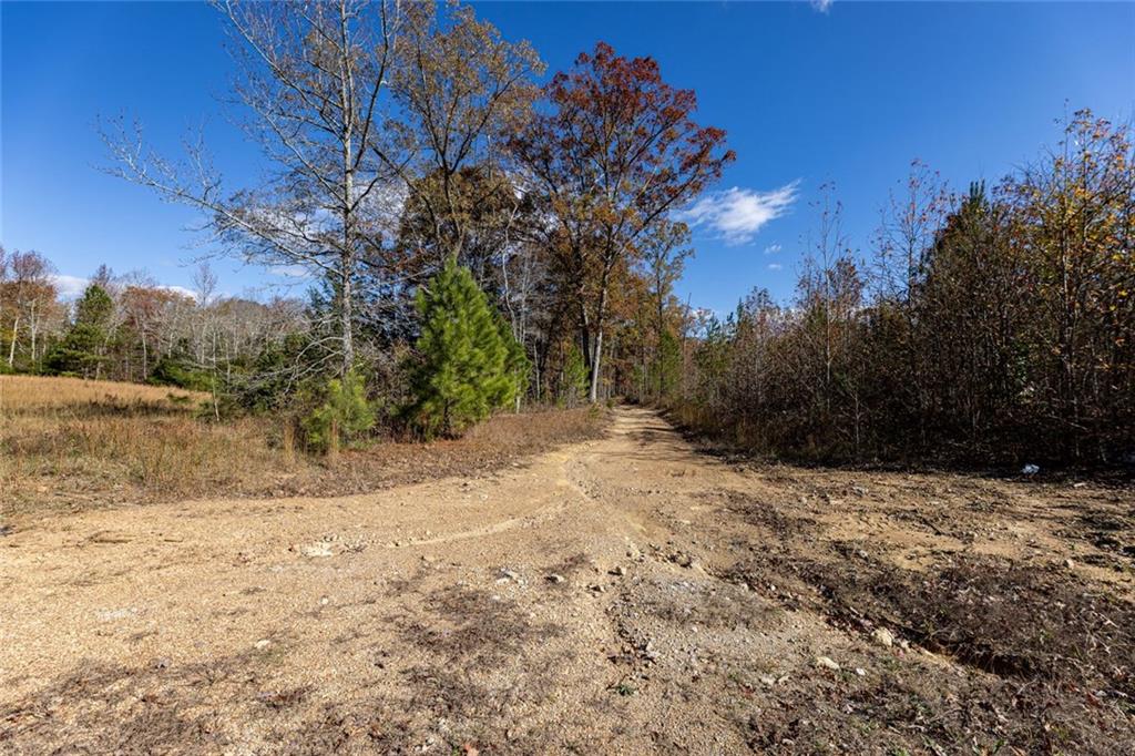 400 Kitchens Mountain Road Northwest Cartersville, GA 30120 - Photo 9 of 32 a view of a yard with a tree