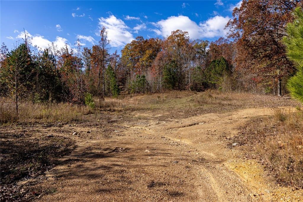 400 Kitchens Mountain Road Northwest Cartersville, GA 30120 - Photo 10 of 32 a view of a yard with a tree