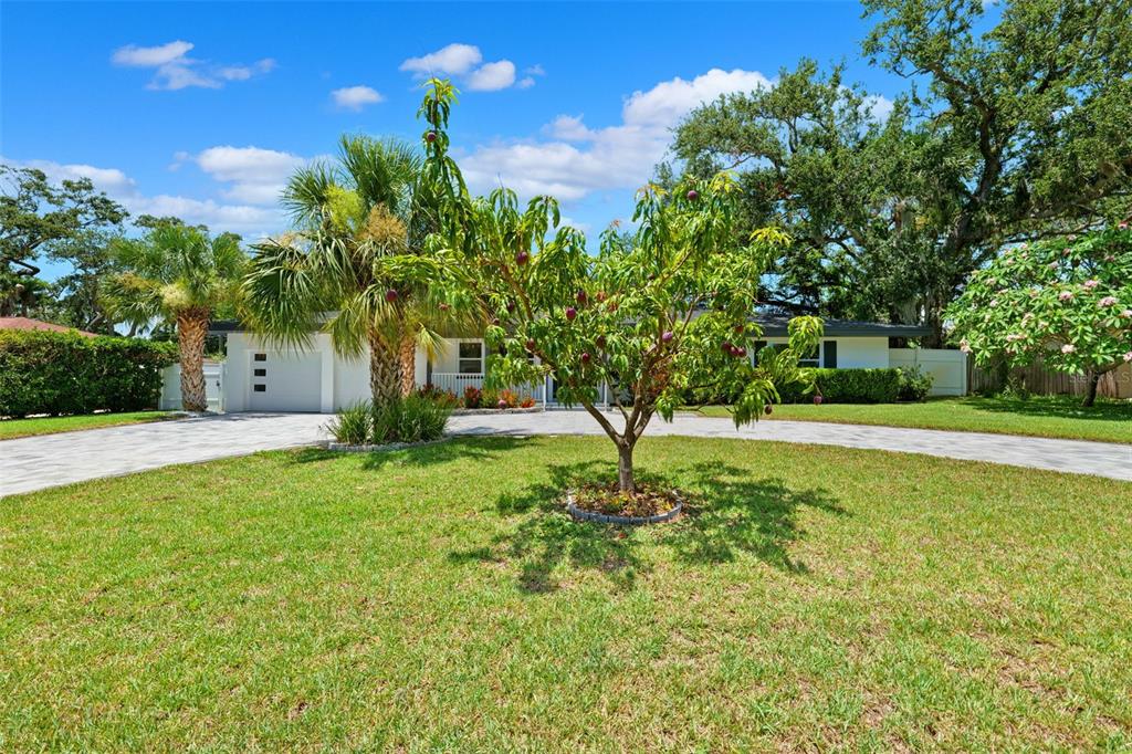 8231 31st Terrace North St. Petersburg, FL 33710 - Photo 16 of 55 a view of a garden with trees