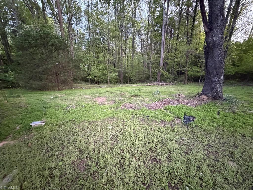 1519 Pipers Gap Road Mount Airy, NC 27030 - Photo 11 of 28