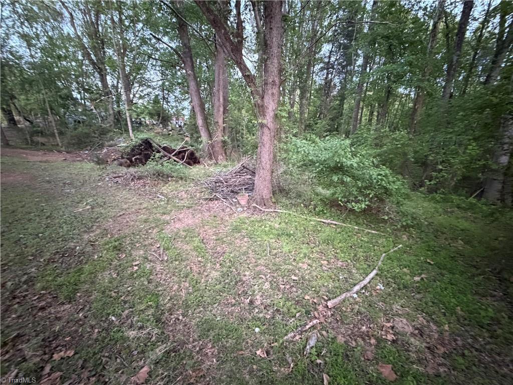 1519 Pipers Gap Road Mount Airy, NC 27030 - Photo 18 of 28