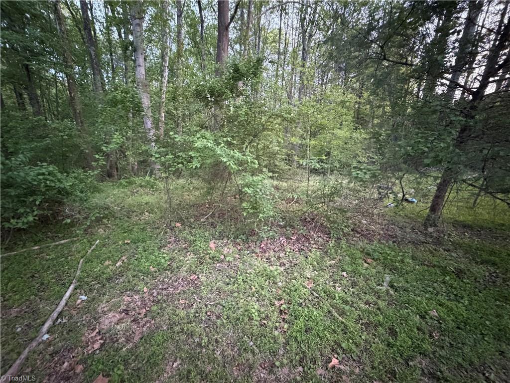 1519 Pipers Gap Road Mount Airy, NC 27030 - Photo 19 of 28