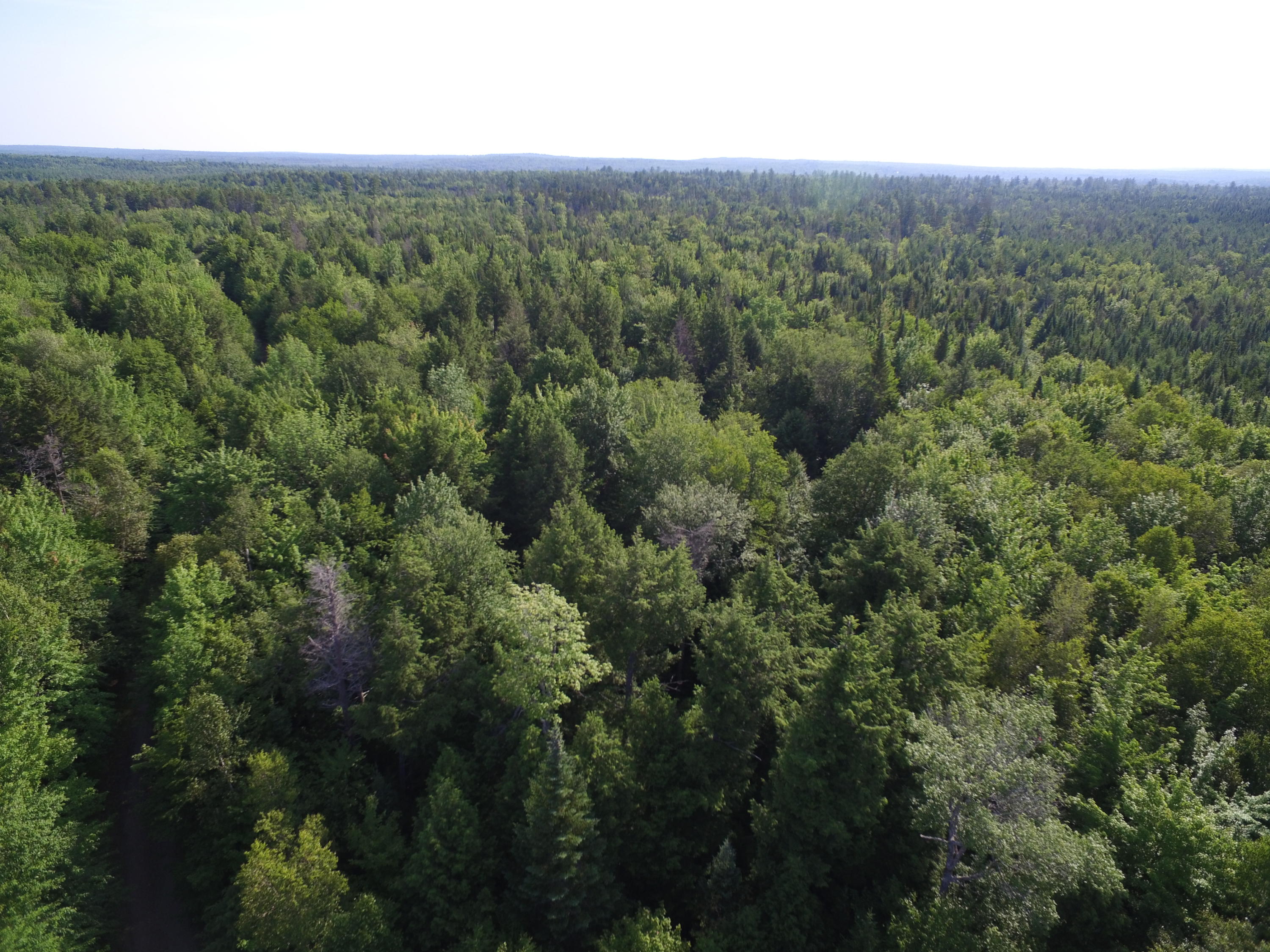 Tbd West Tbd W Indian Road Lincoln, ME 04457 - Photo 6 of 18 DJI_0465