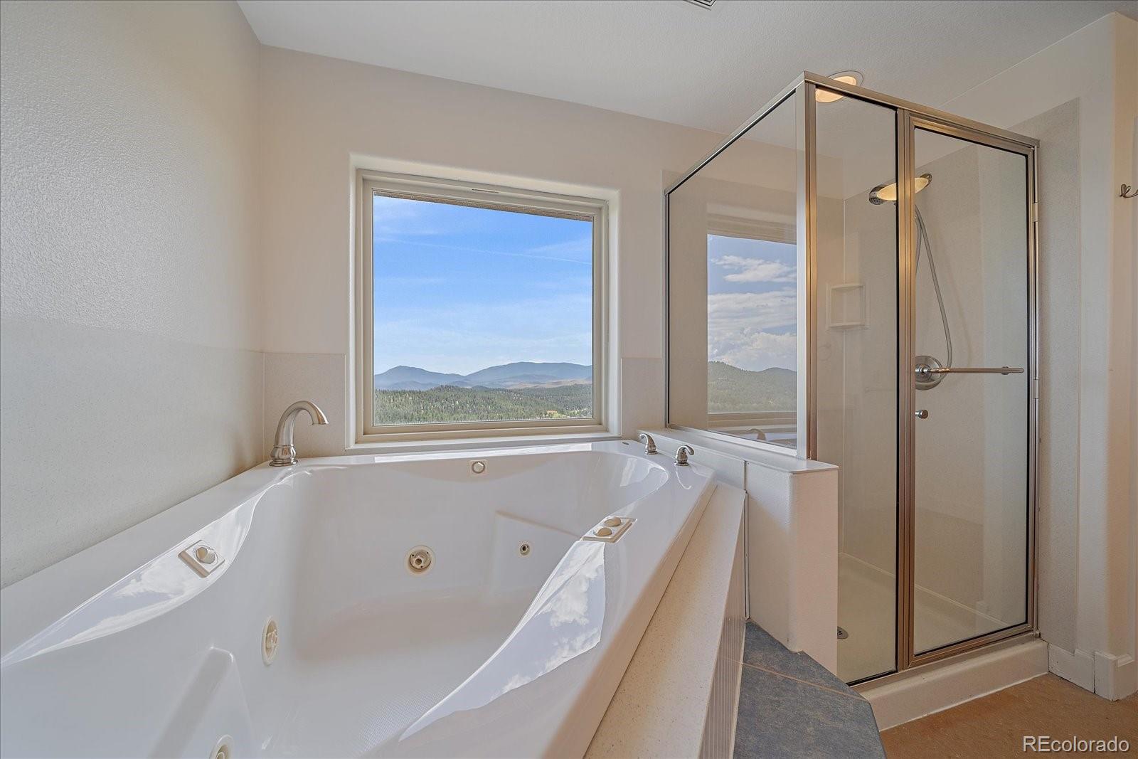 31231 Red Hawk Trail Conifer, CO 80433 - Photo 30 of 50