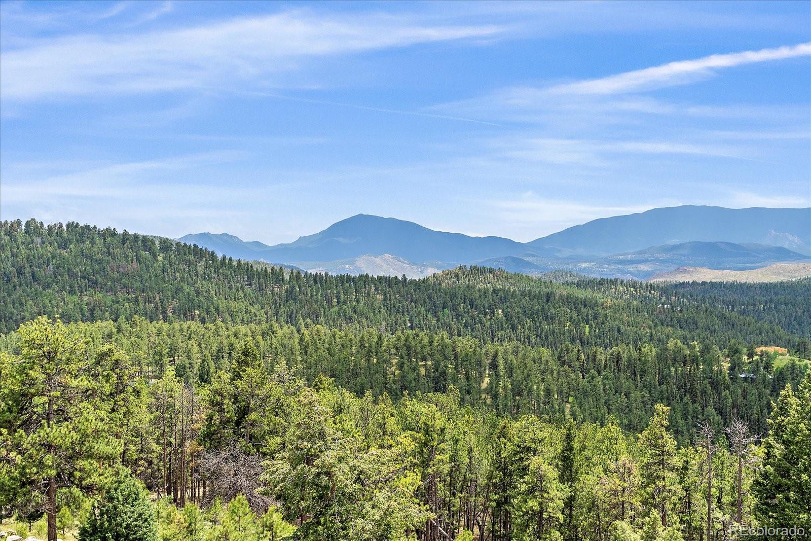 31231 Red Hawk Trail Conifer, CO 80433 - Photo 45 of 50