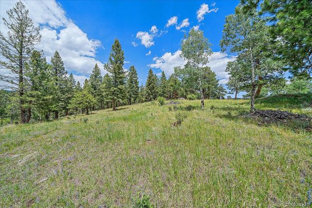 $1,100,000 | 31231 Red Hawk Trail, Conifer, CO 80433