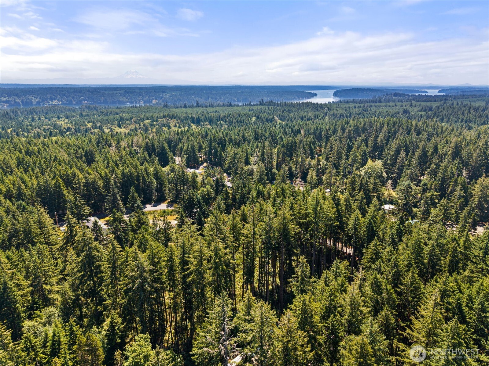 1030 East Phillips Lake Road Shelton, WA 98584 - Photo 6 of 21