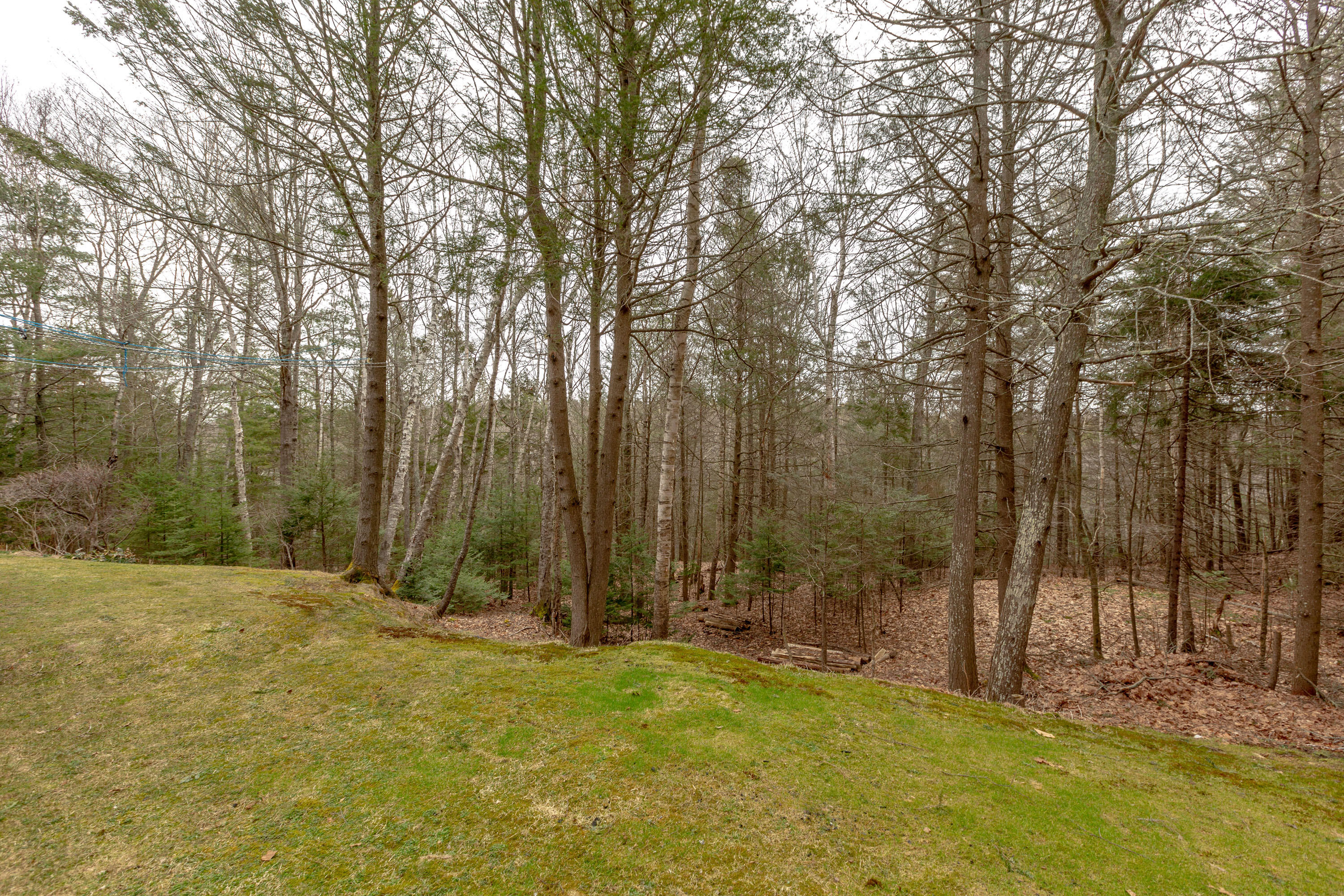 43 Sagamore Road Harpswell, ME 04079 - Photo 53 of 56 Yard