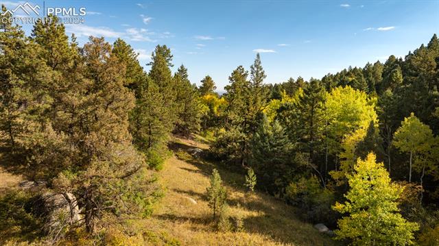 Rampart Range Road Sedalia, CO 80135 - Photo 7 of 20 View of local wilderness