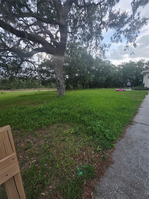 17820 Monteverde Drive Spring Hill, FL 34610 - Photo 9 of 42 a view of yard with green space