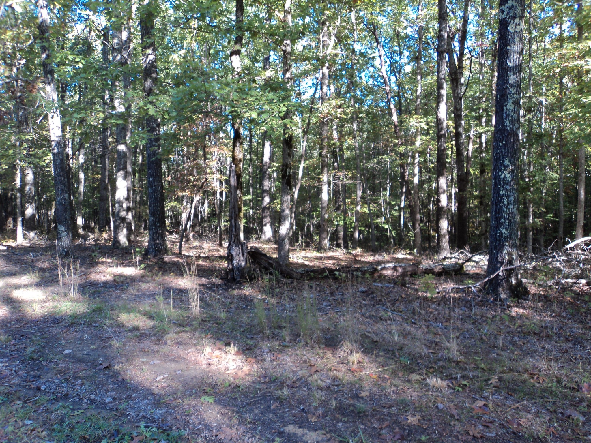 7 Cooley's Rift Boulevard Monteagle, TN 37356 - Photo 1 of 3 Gallery Image 1