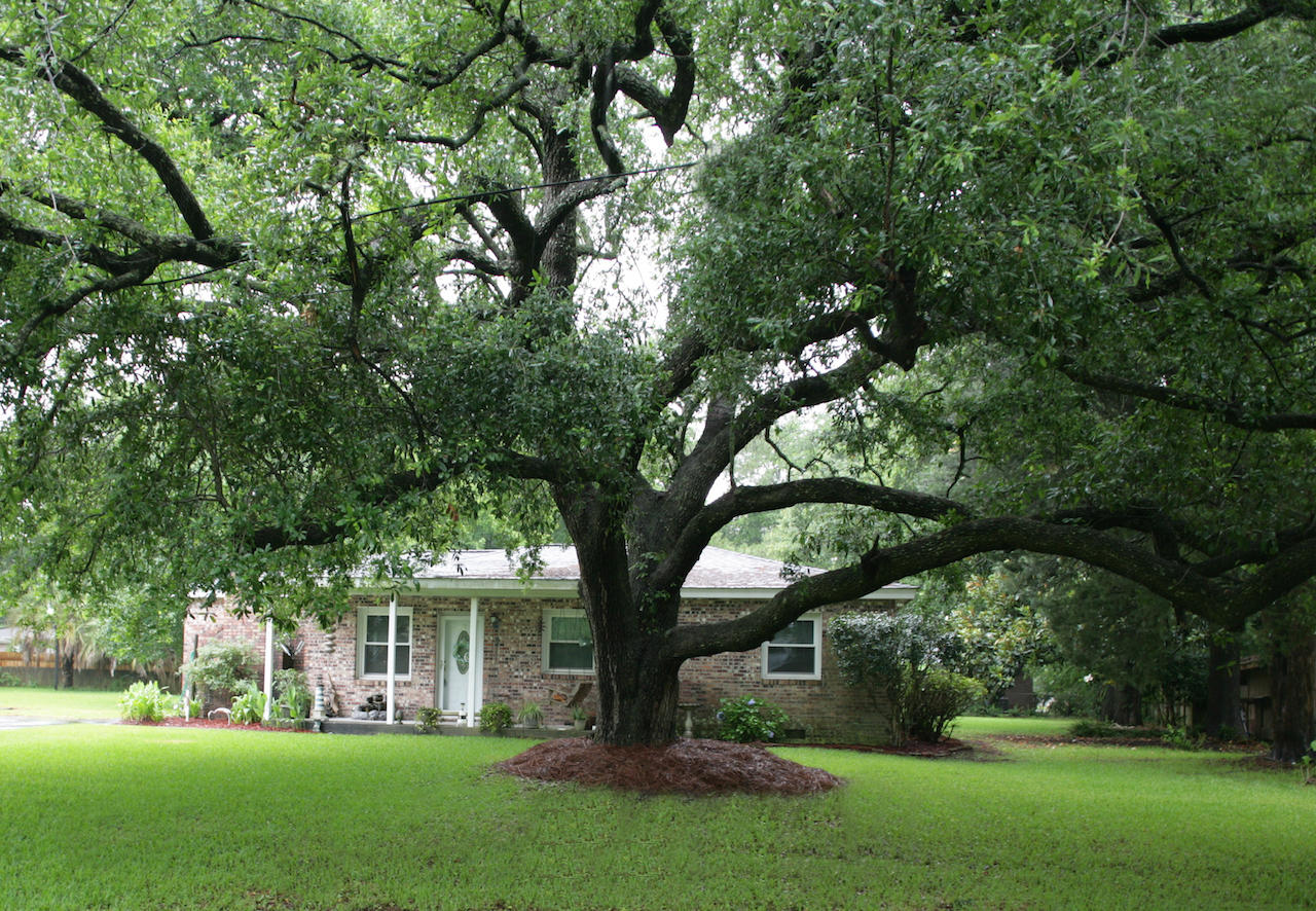 3544 Old Ferry Road Johns Island, SC 29455 - Photo 2 of 21 187O2114