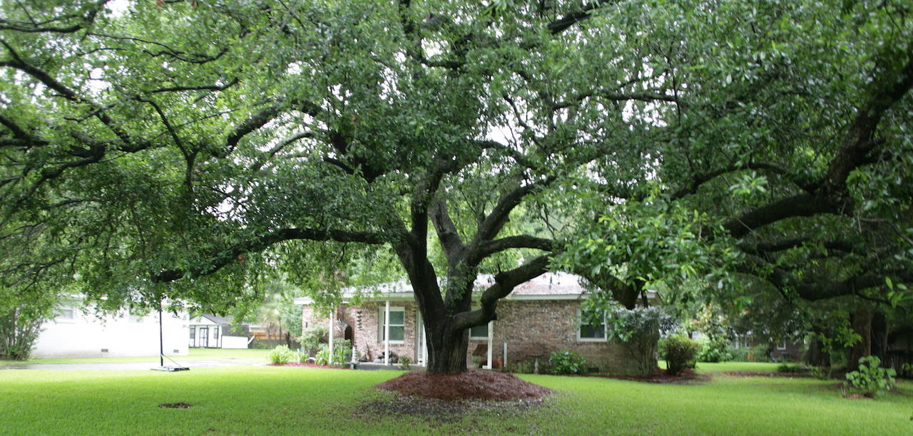 3544 Old Ferry Road Johns Island, SC 29455 - Photo 4 of 21 187O2115