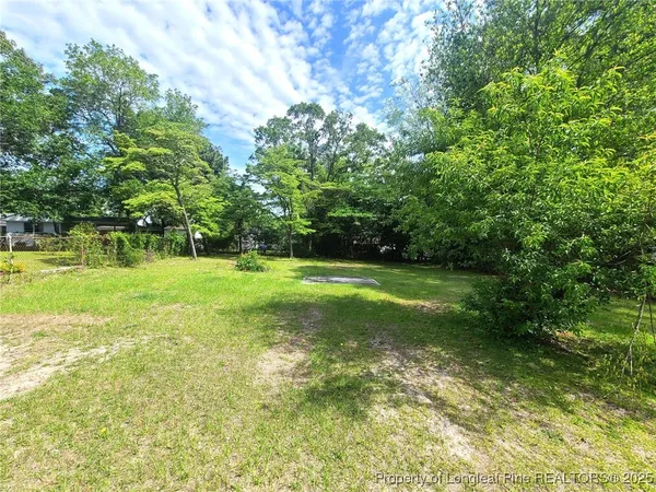 a view of a garden with a tree