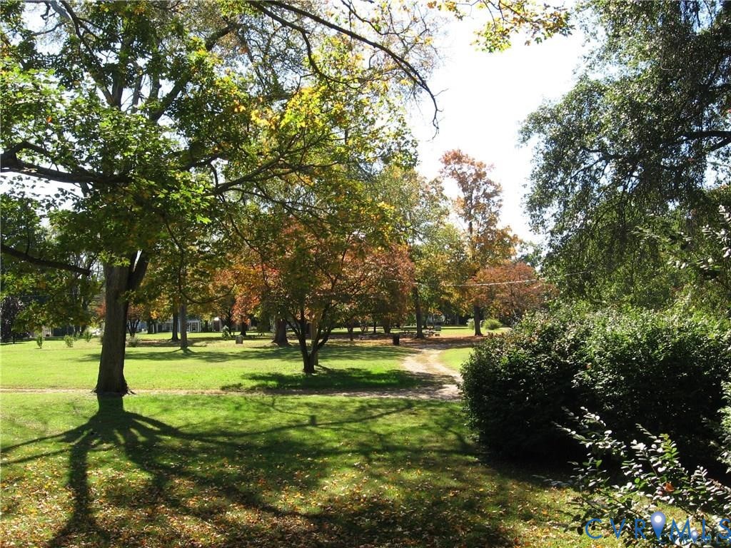 243 South Adams Street Petersburg, VA 23803 - Photo 6 of 8 a view of park with trees