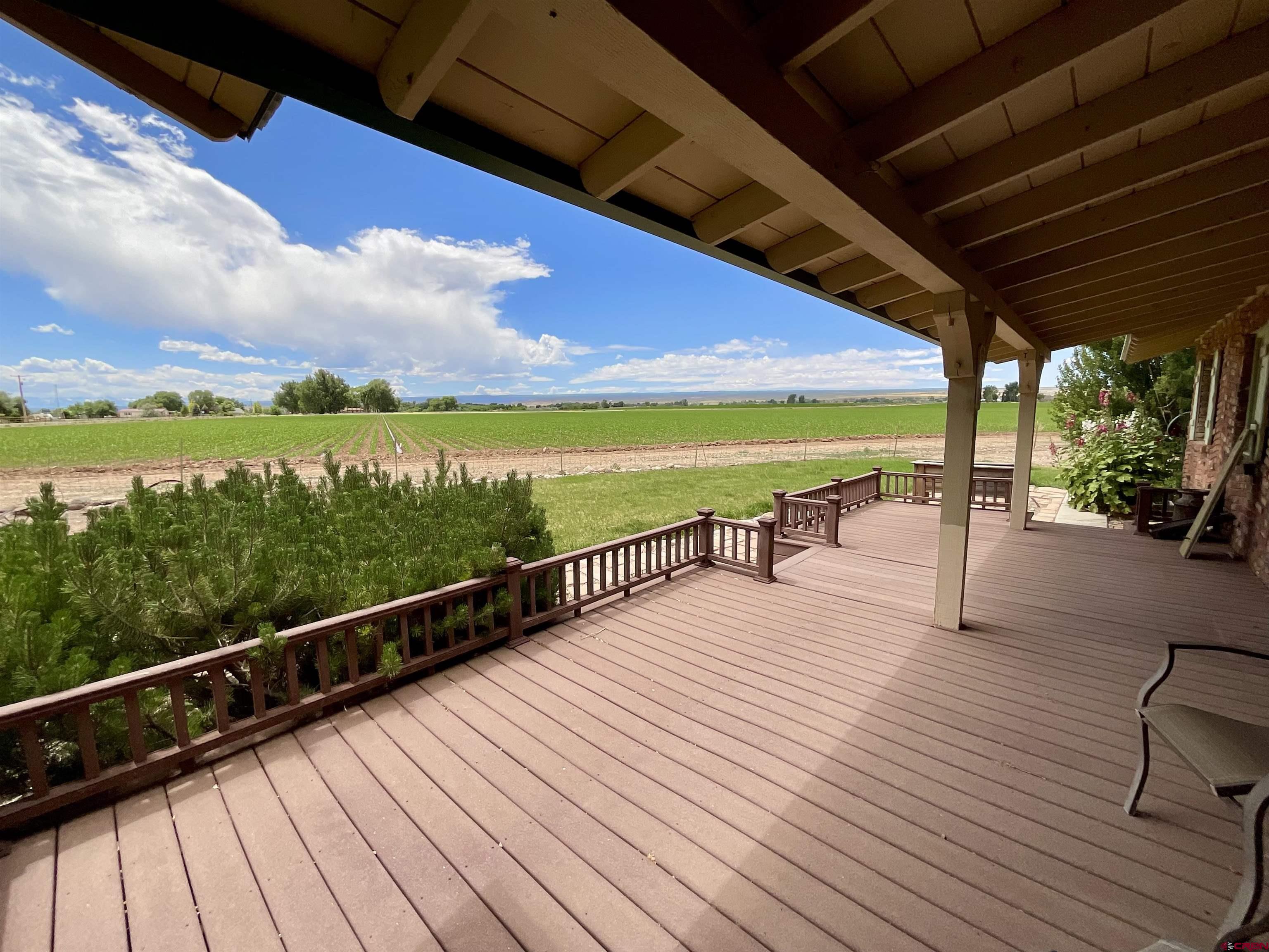 6755 5600th Road Olathe, CO 81425 - Photo 4 of 45 Gallery Image 4