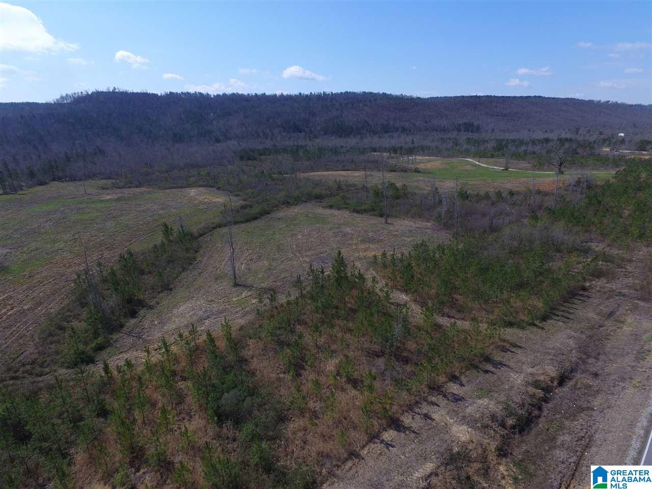 Shoal Creek Road, Unit 4 Springville, AL 35146 - Photo 8 of 10