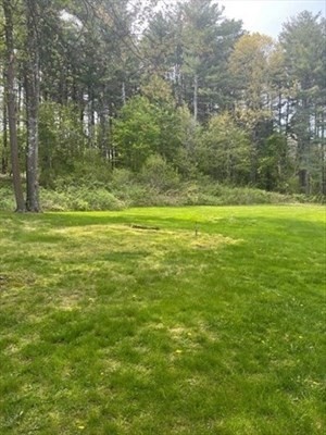 563 Concord Road Sudbury, MA 01776 - Photo 5 of 5