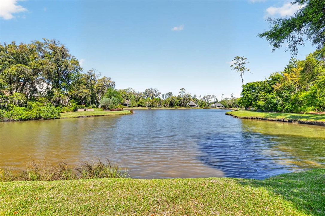 163 Point Lane St. Simons Island, GA 31522 - Photo 81 of 83