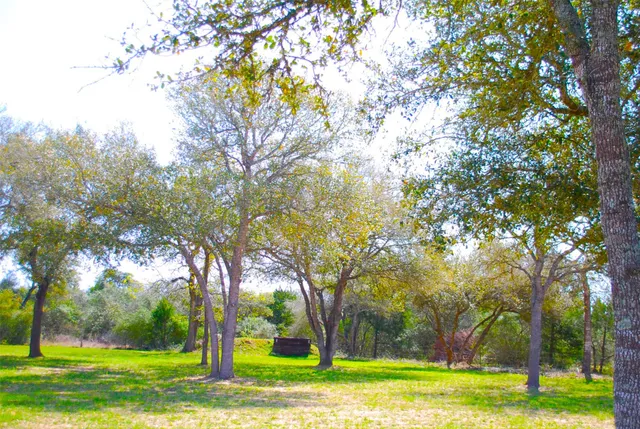a view of outdoor space with trees