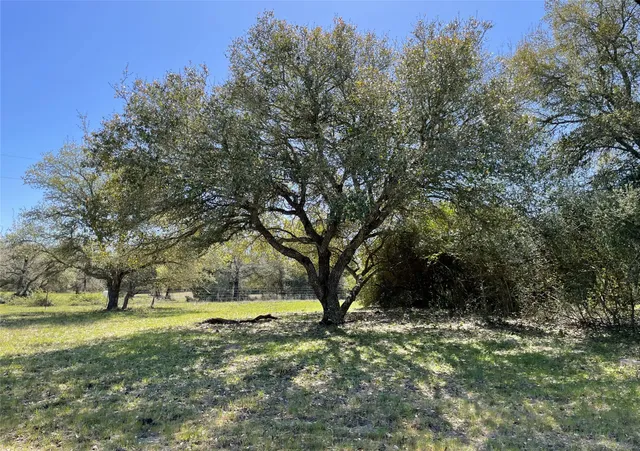 a view of a field with trees in the background