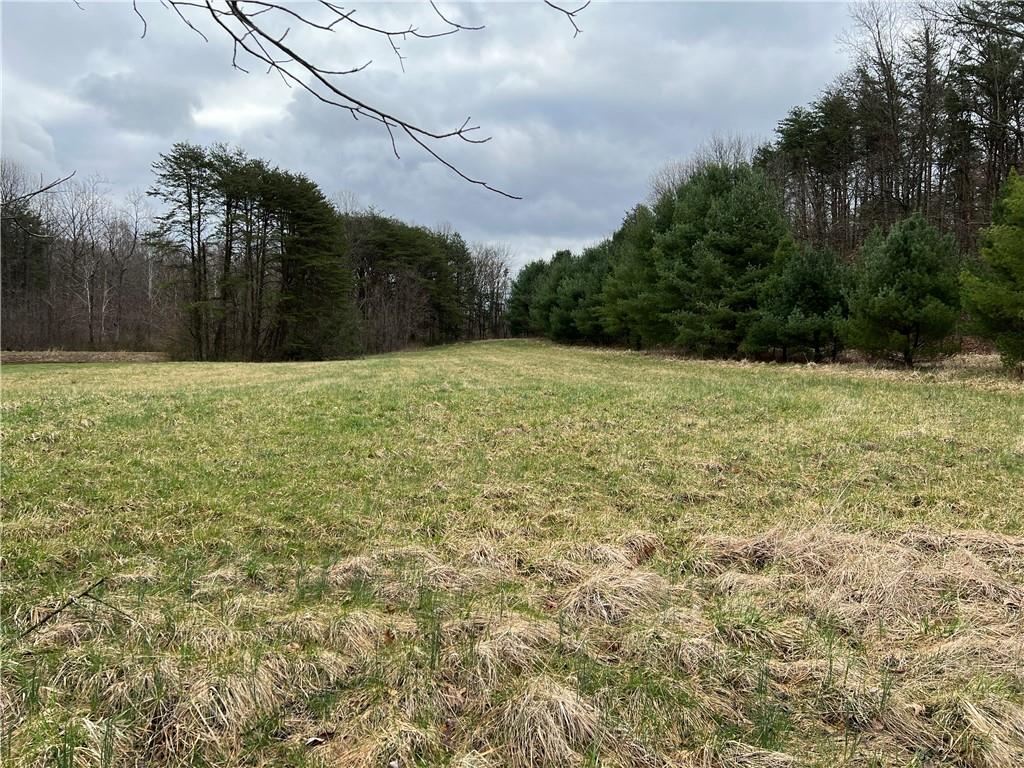 0 East Michael Road Bloomfield, IN 47424 - Photo 36 of 39