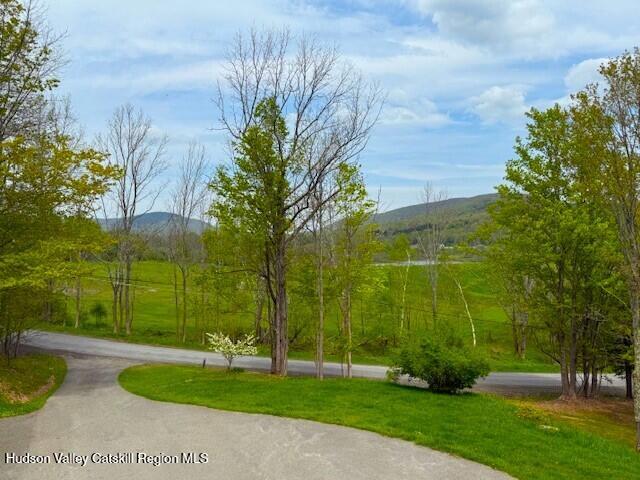 89 Siam Road Windham, NY 12496 - Photo 2 of 31 a view of a park