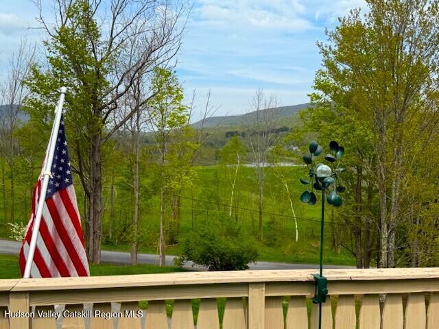 89 Siam Road Windham, NY 12496 - Photo 3 of 31 a view of a yard with potted plants