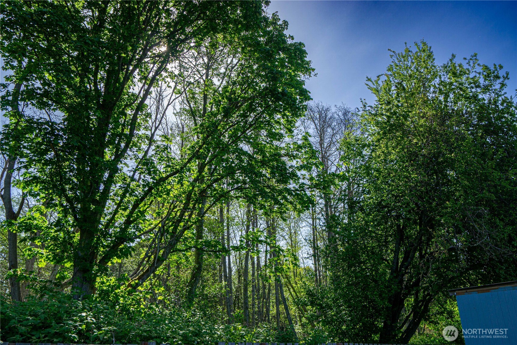 2 Community Lane Sequim, WA 98382 - Photo 29 of 33 a backyard of a house with lots of green space