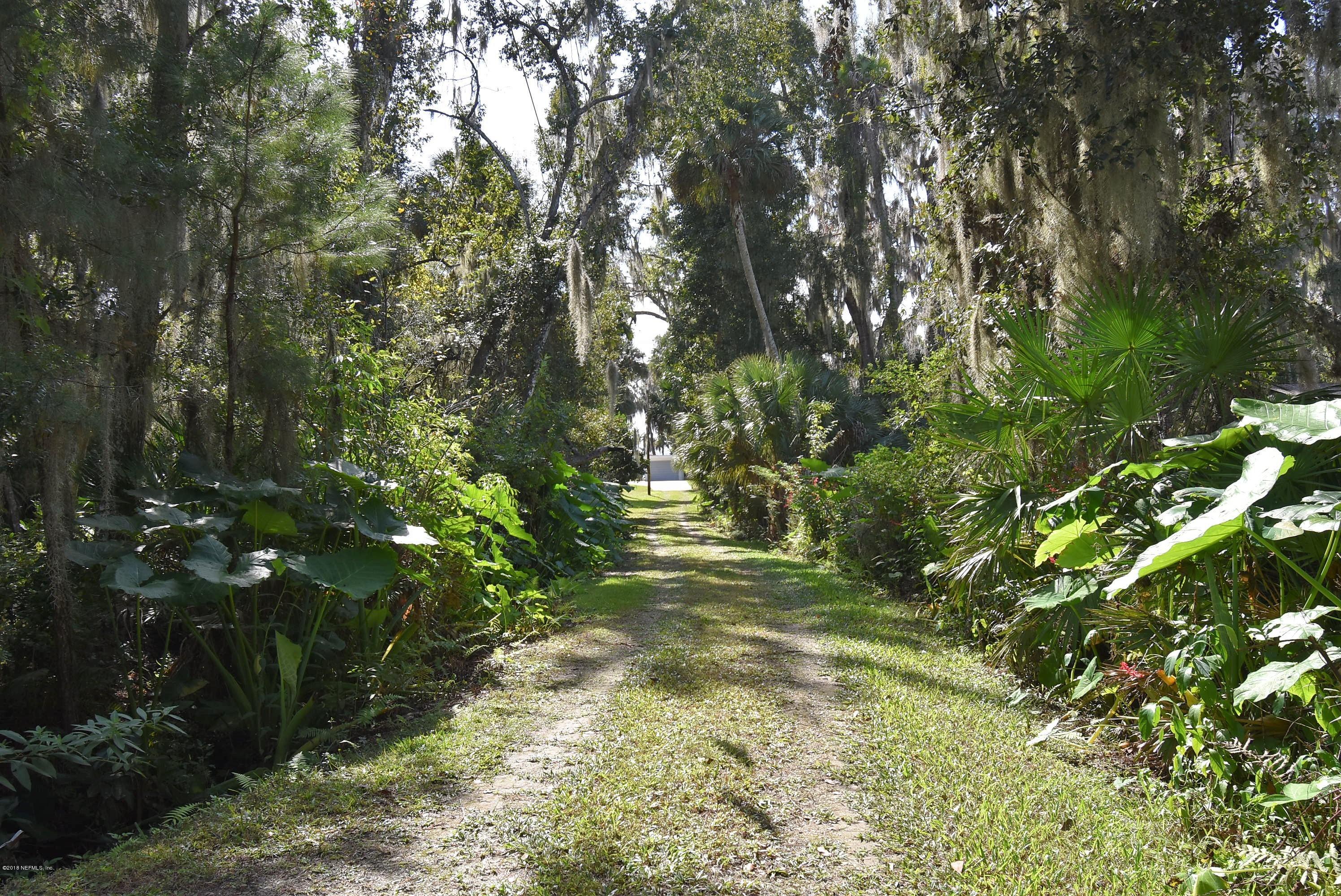 105 Hires Road Georgetown, FL 32139 - Photo 20 of 95 Driveway DSC_0188