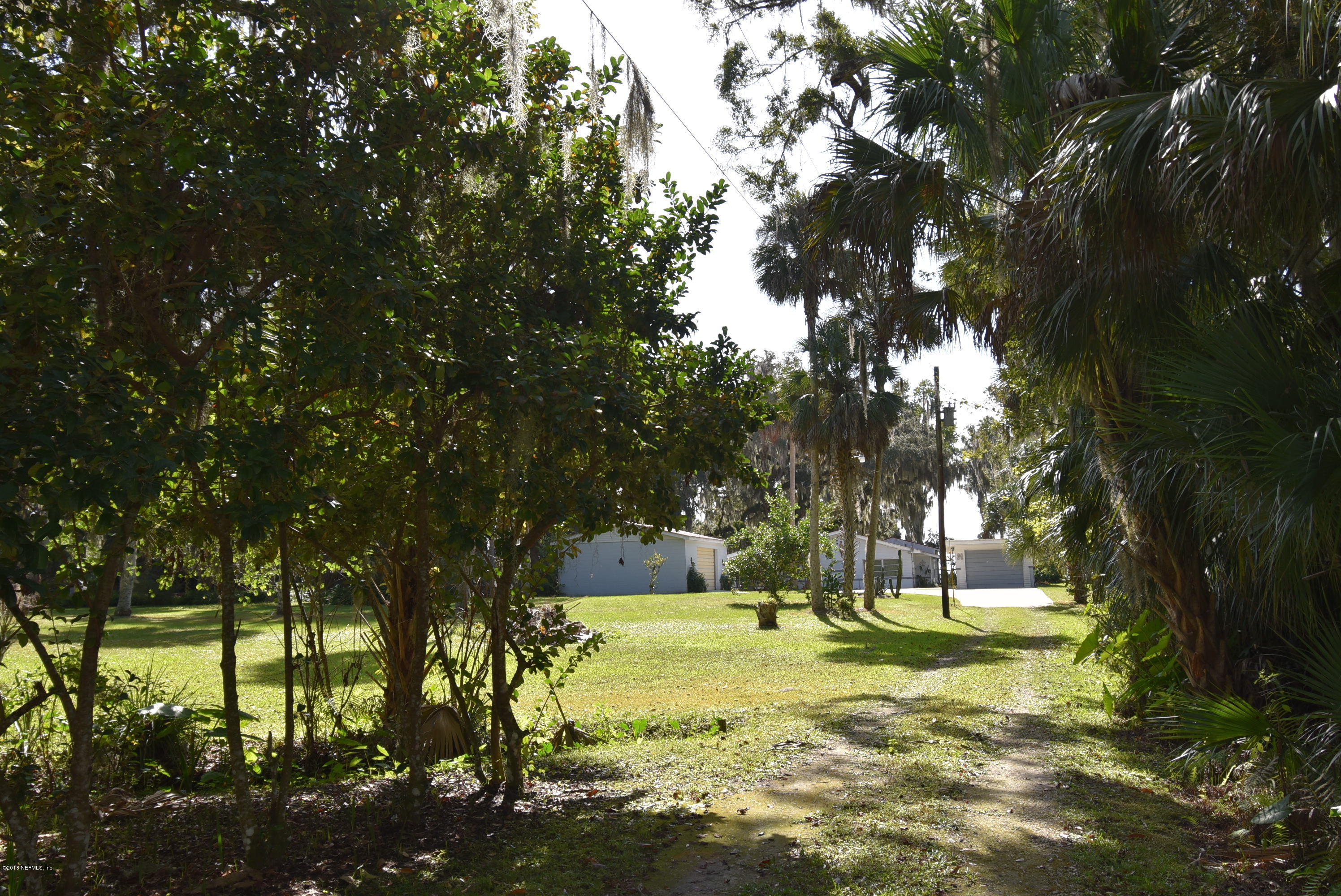 105 Hires Road Georgetown, FL 32139 - Photo 21 of 95 Backyard DSC_0191