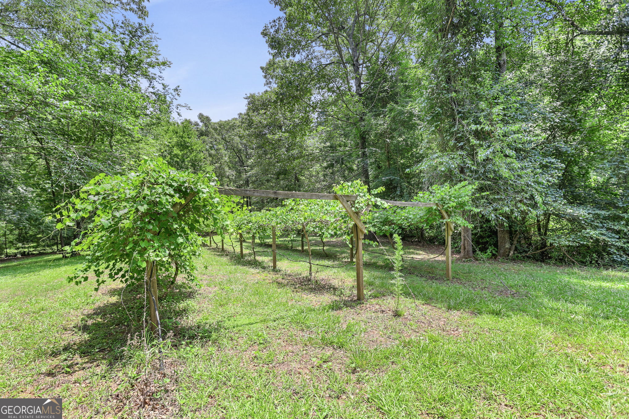 575 Covered Bridge Road Covington, GA 30016 - Photo 36 of 47