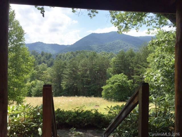 833 Hidden Valley Road Clyde, NC 28721 - Photo 2 of 14 a view of a forest with a tree in the background