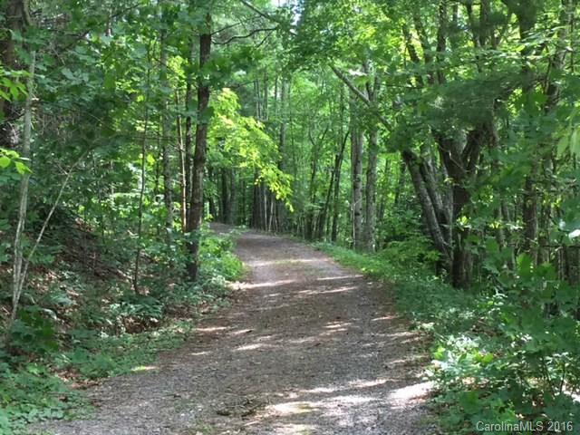 833 Hidden Valley Road Clyde, NC 28721 - Photo 3 of 14 a view of a forest with trees in the background
