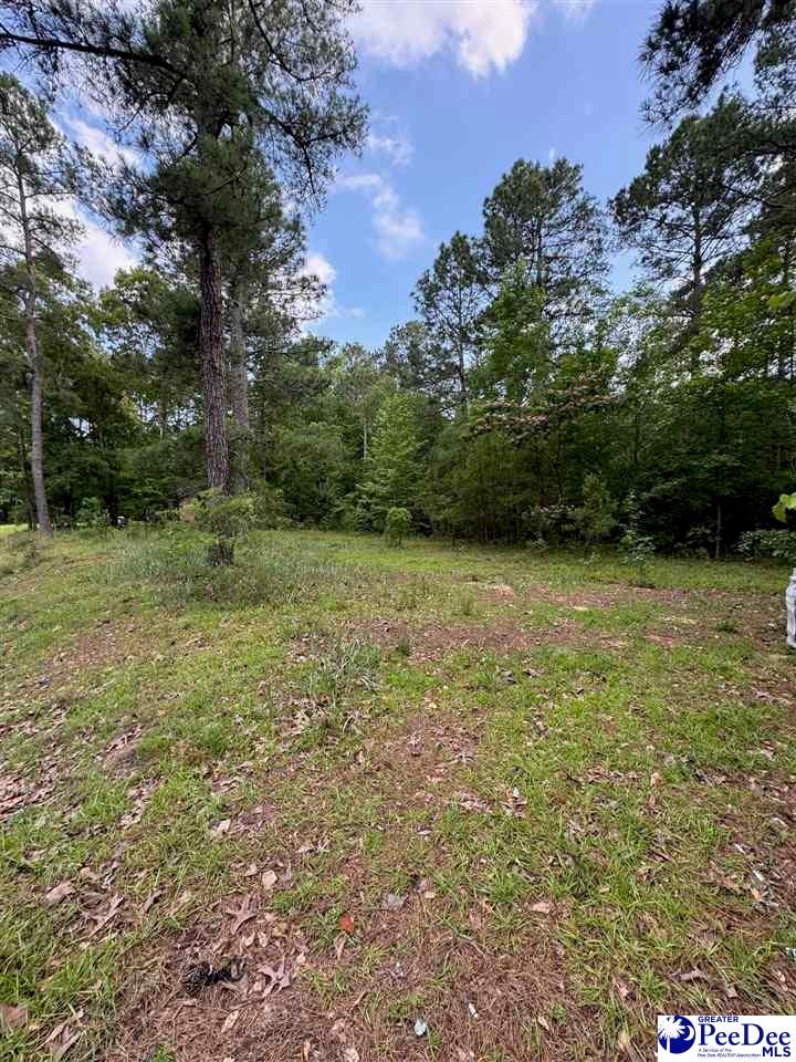 2139 Moccasin Bluff Road Hamer, SC 29547 - Photo 7 of 10 Gallery Image 7