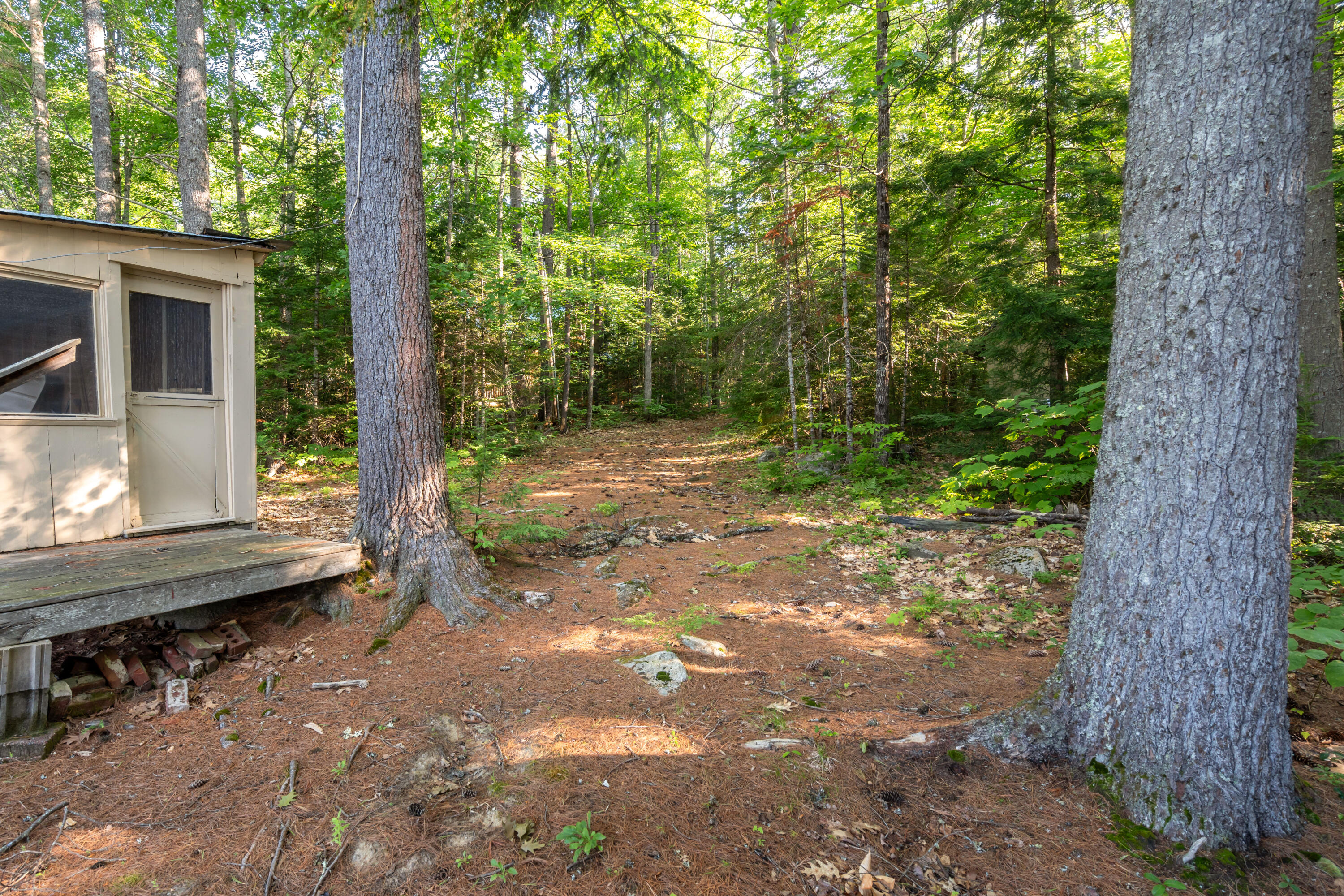 273 Hardscrabble Road Sweden, ME 04040 - Photo 10 of 26 DSC04847