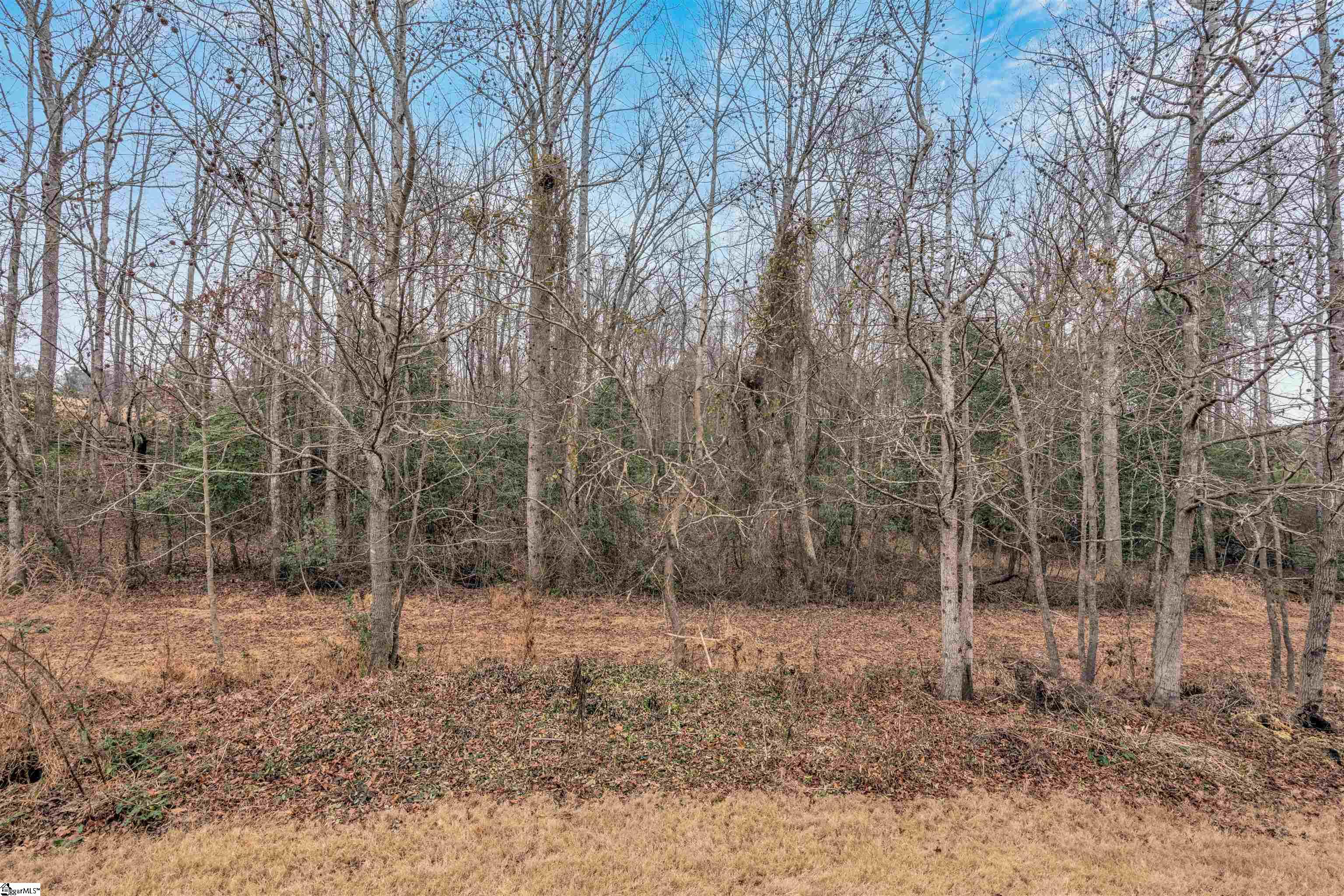 236 Garfield Lane Simpsonville, SC 29681 - Photo 17 of 33