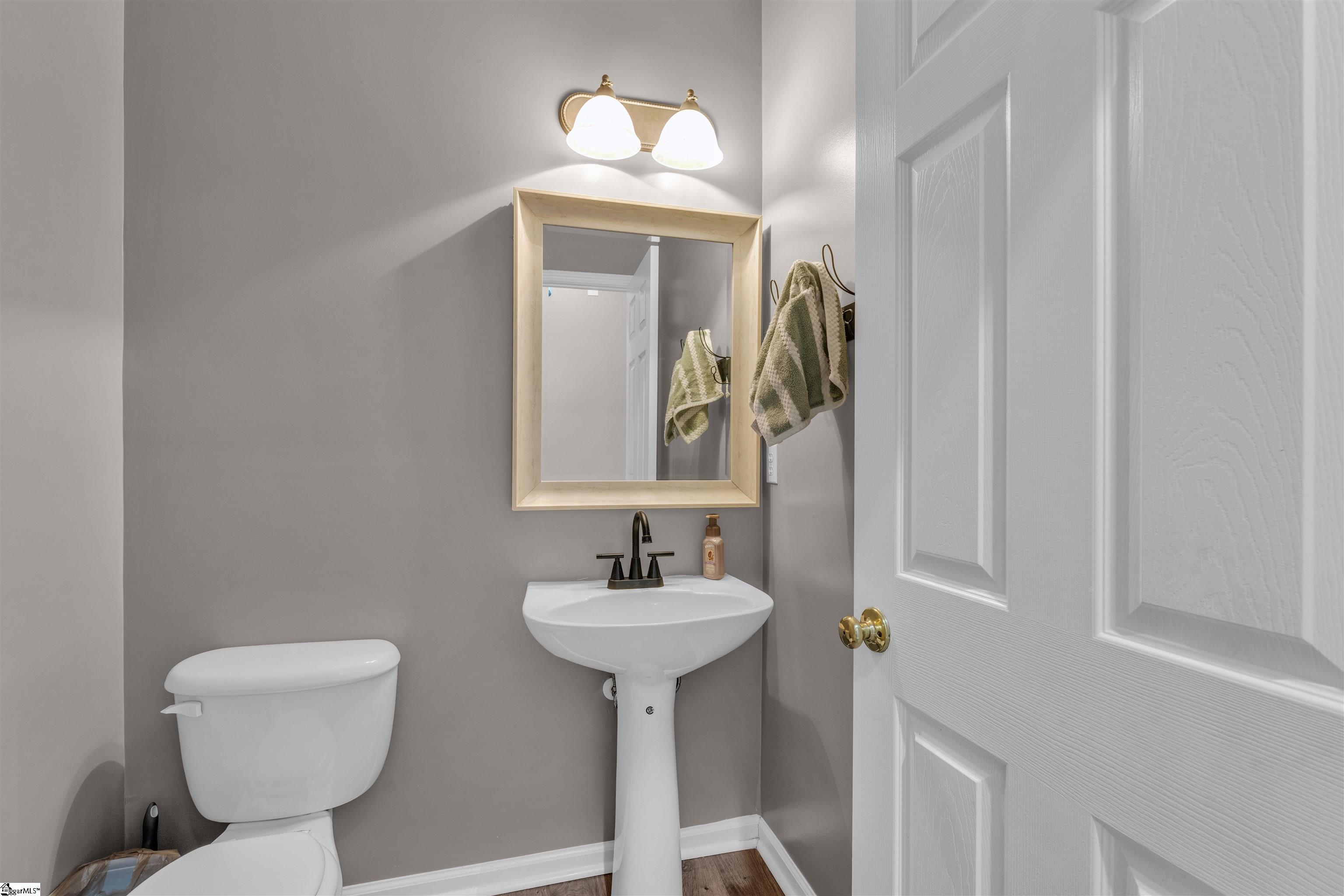 236 Garfield Lane Simpsonville, SC 29681 - Photo 3 of 33