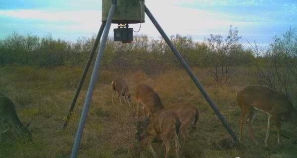 0 Hopewell Road Bellevue, TX 76228 - Photo 3 of 15