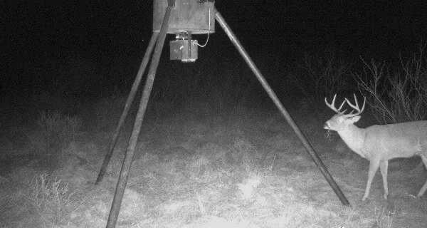 0 Hopewell Road Bellevue, TX 76228 - Photo 4 of 15 a view of entryway and hall