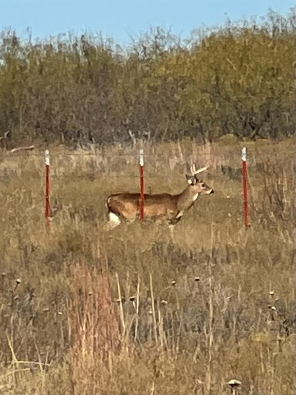 0 Hopewell Road Bellevue, TX 76228 - Photo 10 of 15 a view of a water fountain with trees in the background
