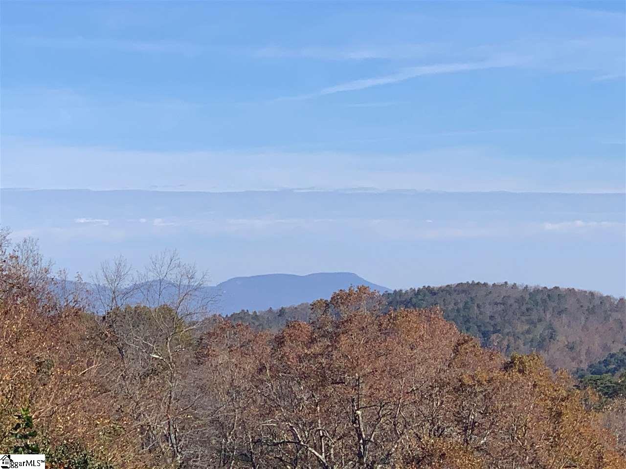 980 Altamont Road, Unit TRACT B Greenville, SC 29609 - Photo 2 of 22