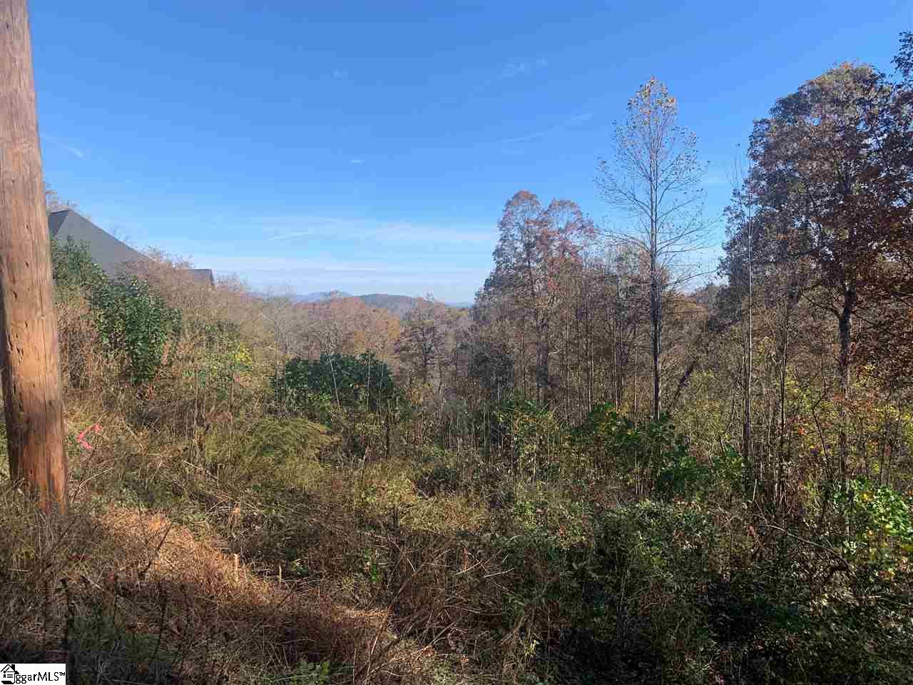 980 Altamont Road, Unit TRACT B Greenville, SC 29609 - Photo 19 of 22